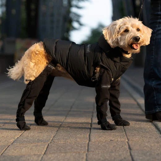 Stivali per cani sostenibili per tutti gli elementi atmosferici | Scarpe per cani impermeabili per neve, escursionismo e attività all'aperto