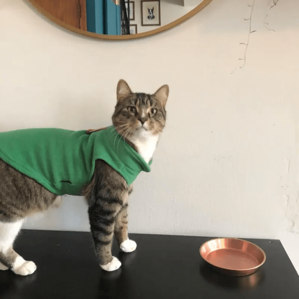 Gilet per cani in pile caldo e accogliente
