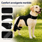 RearGuard Dog Rear Leg Support Brace - Fascia di supporto per zampe posteriori antiscivolo per cani anziani, pavimenti i
