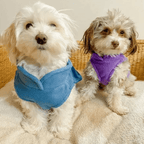 Gilet per cani in pile caldo e accogliente