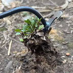 Strumento per sarchiatore manuale da giardinaggio
