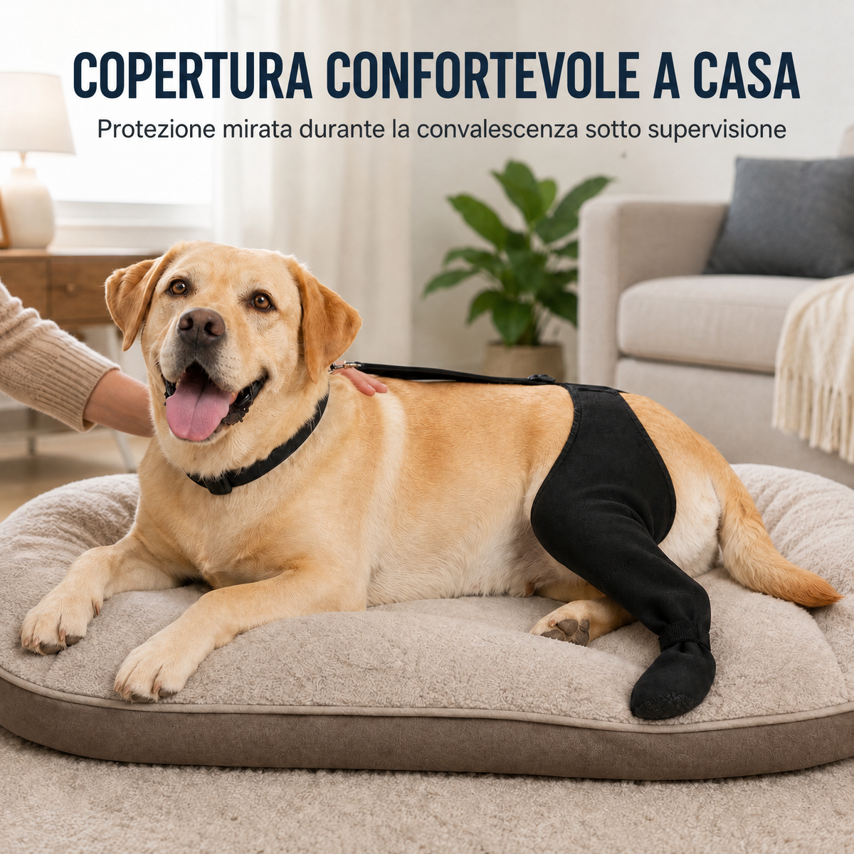 manicotto regolabile per cane per il recupero della zampa posteriore con copripolpastrello - Aiuta a limitare il leccame
