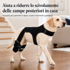 RearGuard Dog Rear Leg Support Brace - Fascia di supporto per zampe posteriori antiscivolo per cani anziani, pavimenti i