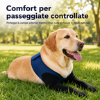 PawGuard maniche di recupero doppie per zampe anteriori dei cani - Protezione anti-leccamento senza collare elisabettian