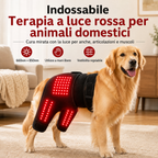 Manica indossabile per fototerapia a luce rossa per cani, utilizzata per la cura a domicilio della parte bassa della sch