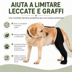 manicotto regolabile per cane per il recupero della zampa posteriore con copripolpastrello - Aiuta a limitare il leccame