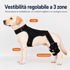 RearGuard Dog Rear Leg Support Brace - Fascia di supporto per zampe posteriori antiscivolo per cani anziani, pavimenti i