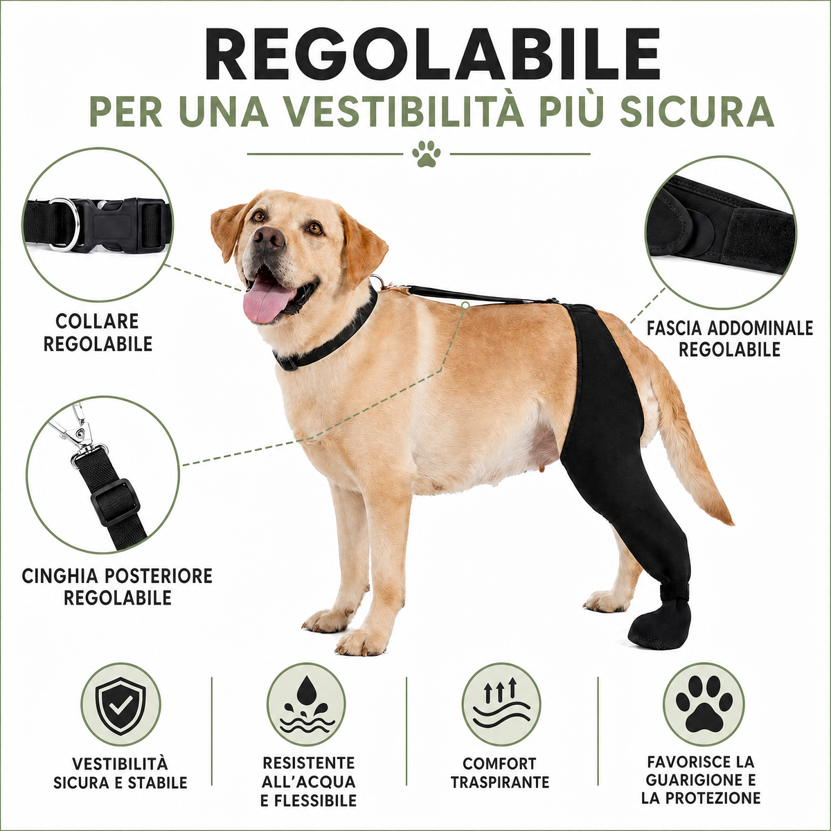 manicotto regolabile per cane per il recupero della zampa posteriore con copripolpastrello - Aiuta a limitare il leccame