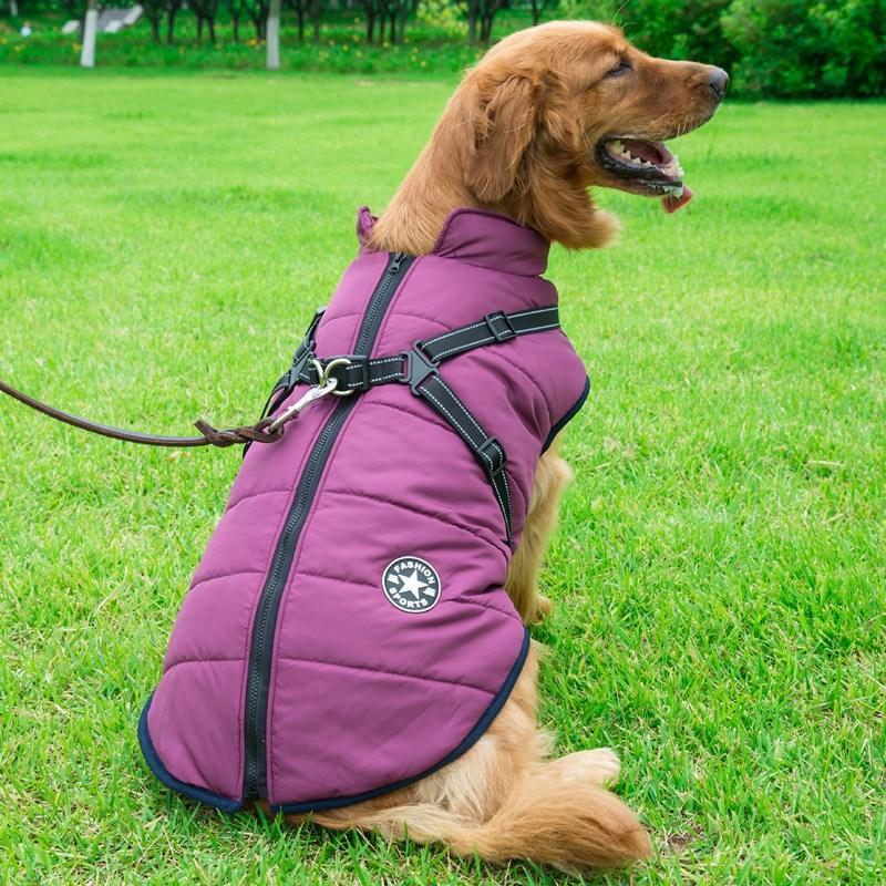 Cappotto invernale con cerniera per cani