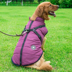 Cappotto invernale con cerniera per cani