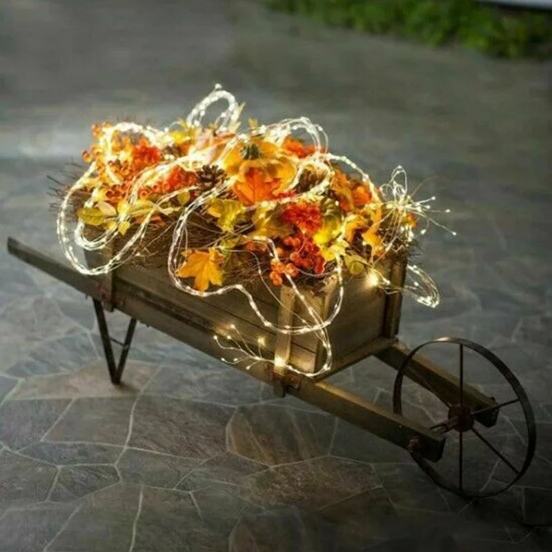Gioia luminosa | Incanta la tua casa con l'affascinante magia della luce natalizia