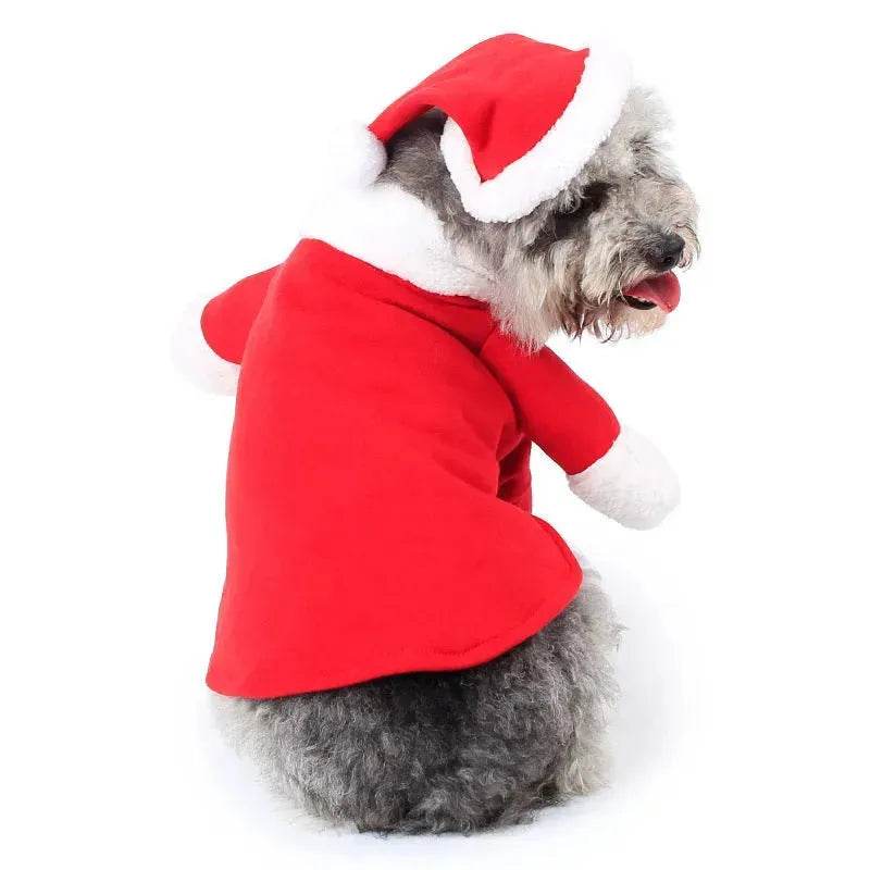 Costume da decorazione natalizia per animali domestici Costume da animale domestico in piedi