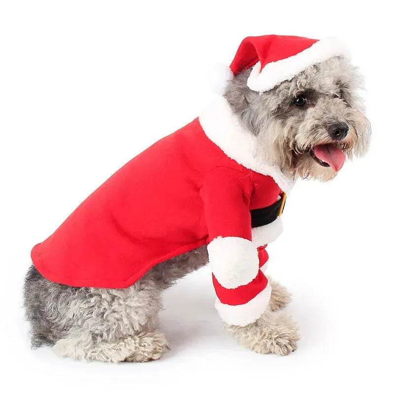 Costume da decorazione natalizia per animali domestici Costume da animale domestico in piedi