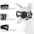 Casco per cane con occhiali per protezione degli occhi