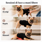 Pettorina a luce rossa per cani e gatti – 660nm + 850nm vicino infrarosso per comfort di schiena, anche, articolazioni e