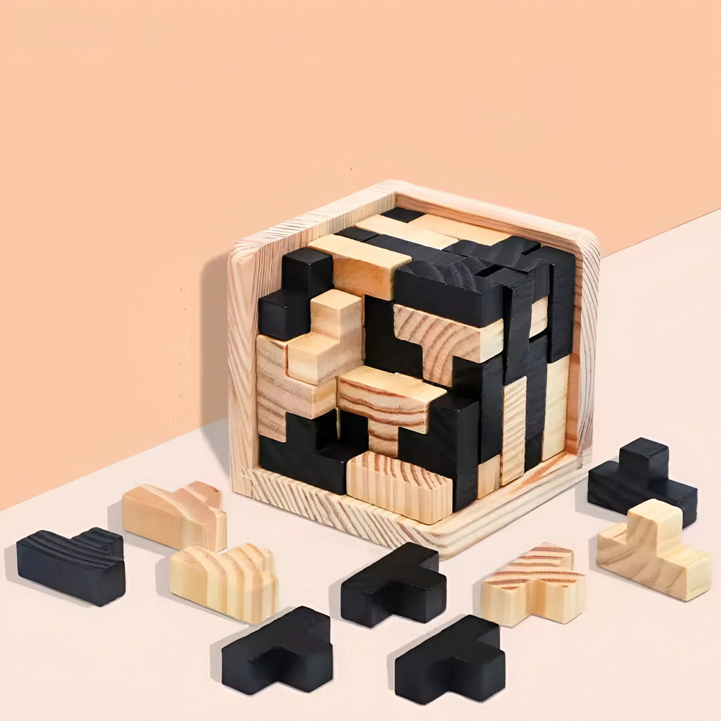 Puzzle 3D rompicapo in legno