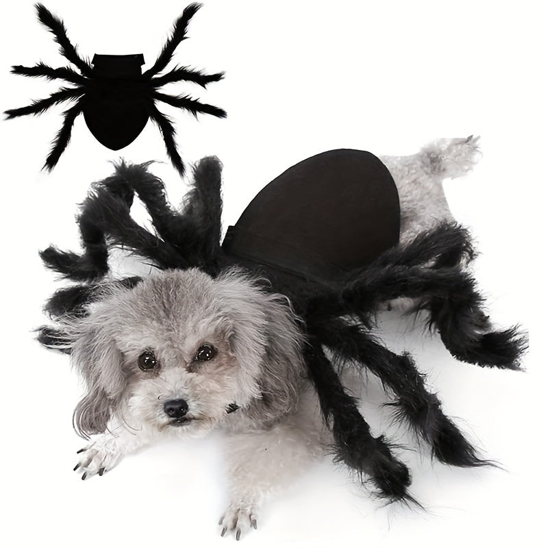 Divertente costume di Halloween per cane peloso | Progettazione del ragno