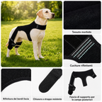 RearGuard Dog Rear Leg Support Brace - Fascia di supporto per zampe posteriori antiscivolo per cani anziani, pavimenti i