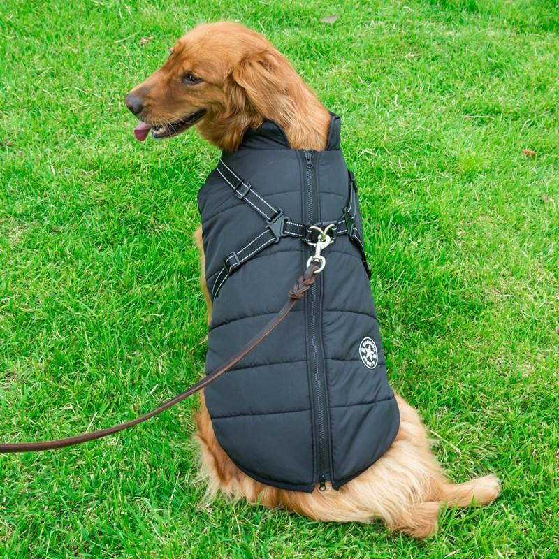 Cappotto invernale con cerniera per cani