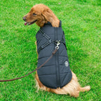 Cappotto invernale con cerniera per cani