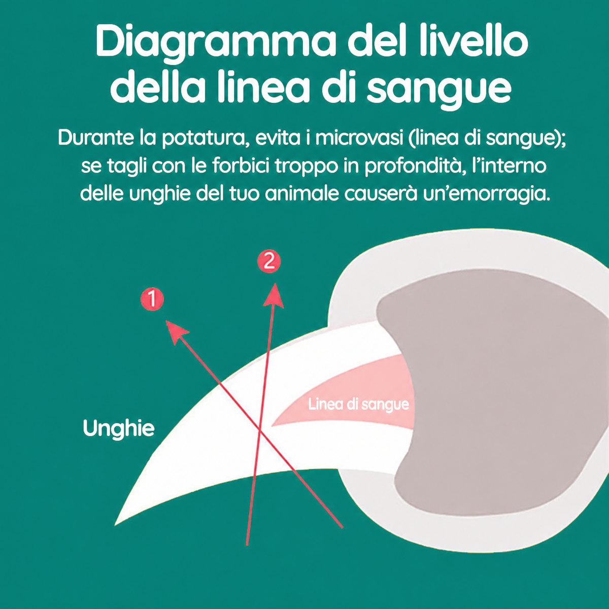 Tagliaunghie per cani con luce di sicurezza con sensore