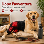Manica indossabile per fototerapia a luce rossa per cani, utilizzata per la cura a domicilio della parte bassa della sch