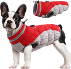 Giacca con imbracatura invernale SafeWalk | Giacca per cani impermeabile con riflessi e fodera in pile