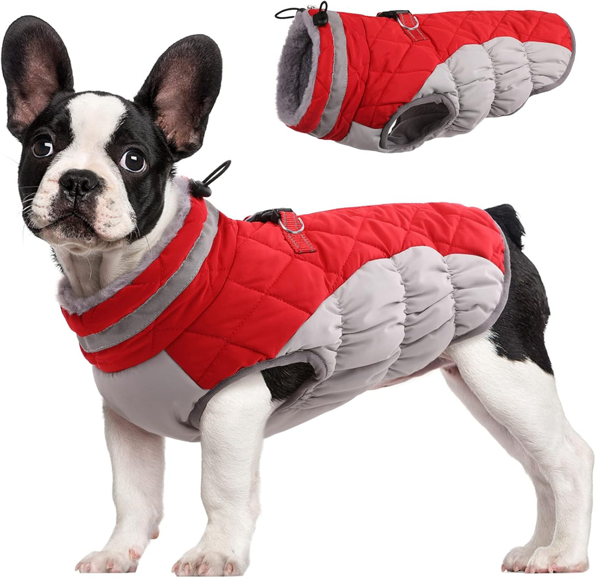 Giacca con imbracatura invernale SafeWalk | Giacca per cani impermeabile con riflessi e fodera in pile