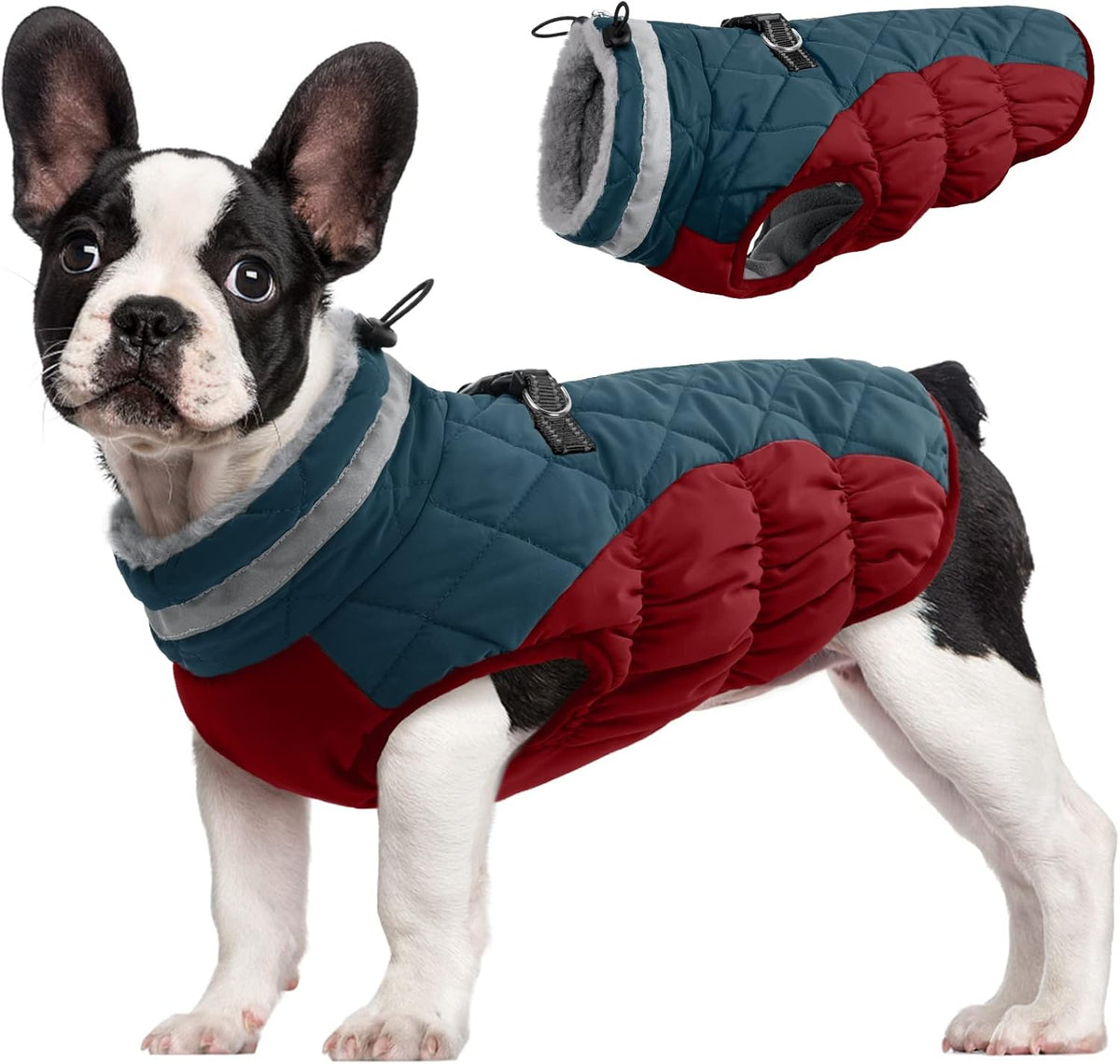 Giacca con imbracatura invernale SafeWalk | Giacca per cani impermeabile con riflessi e fodera in pile