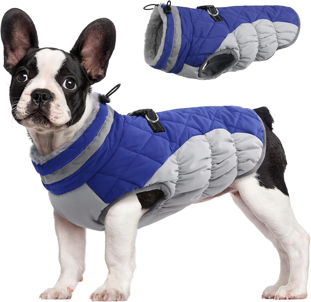 Giacca con imbracatura invernale SafeWalk | Giacca per cani impermeabile con riflessi e fodera in pile