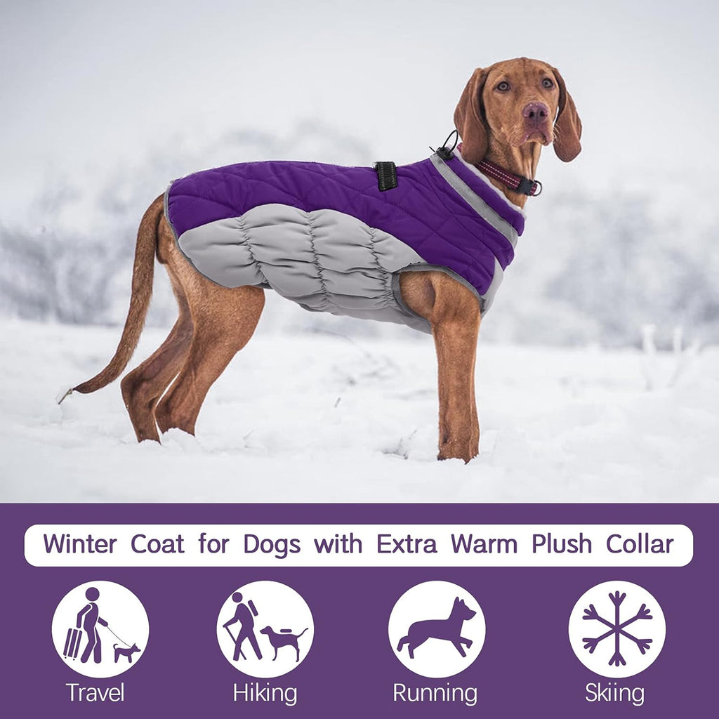 Giacca con imbracatura invernale SafeWalk | Giacca per cani impermeabile con riflessi e fodera in pile
