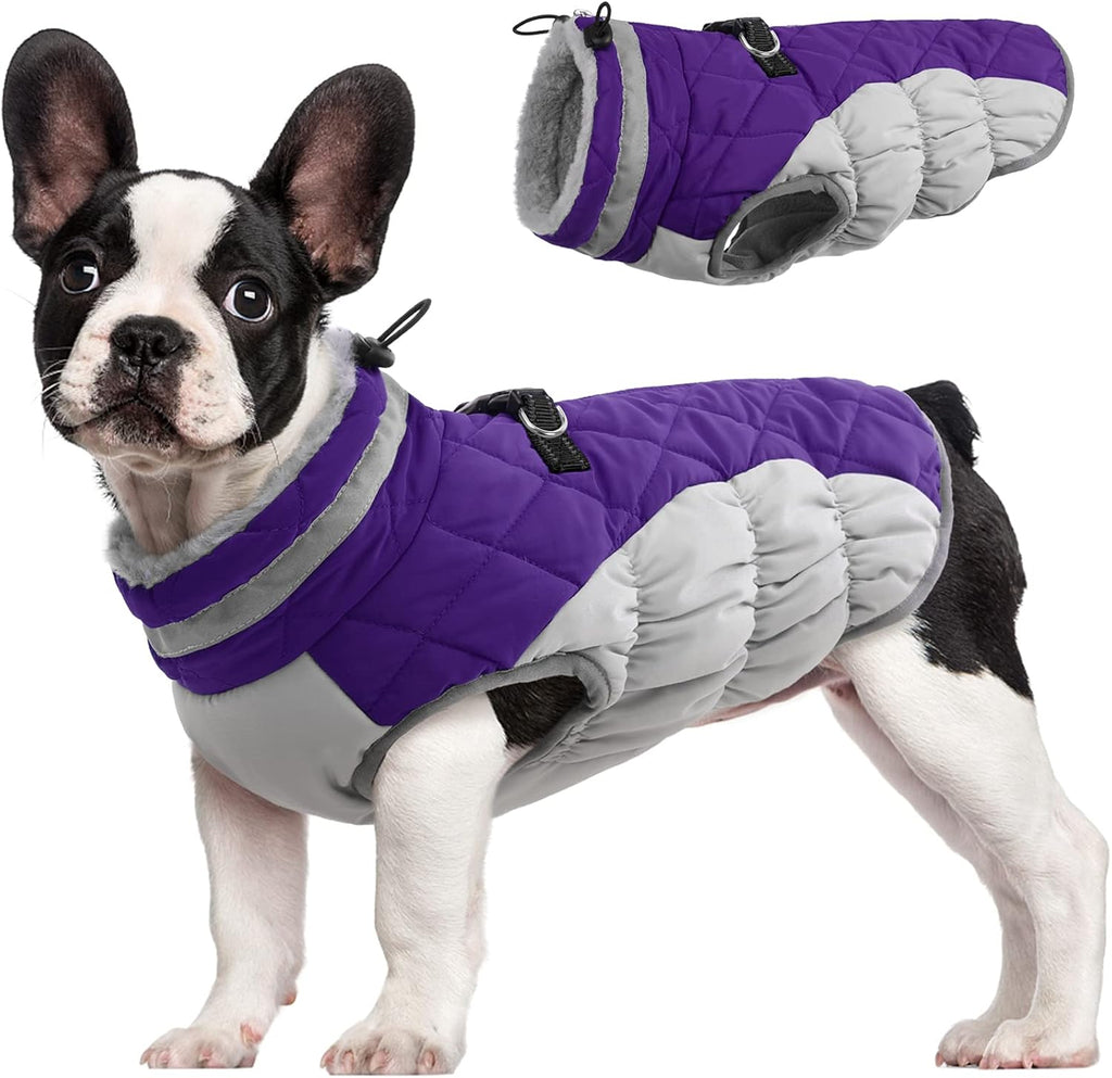 Giacca con imbracatura invernale SafeWalk | Giacca per cani impermeabile con riflessi e fodera in pile