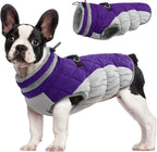 Giacca con imbracatura invernale SafeWalk | Giacca per cani impermeabile con riflessi e fodera in pile