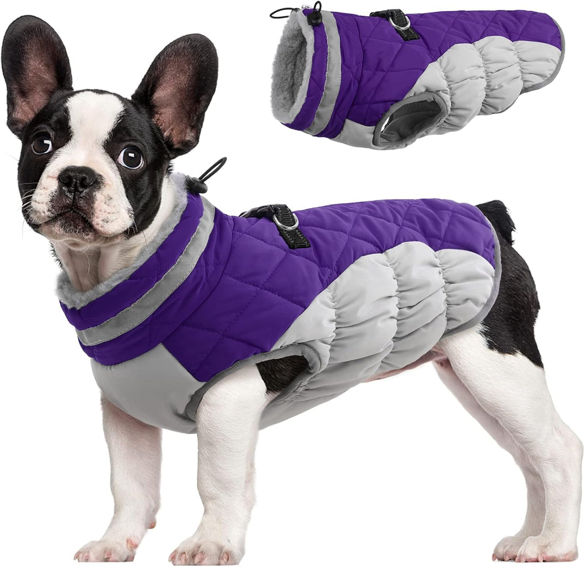 Giacca con imbracatura invernale SafeWalk | Giacca per cani impermeabile con riflessi e fodera in pile
