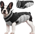 Giacca con imbracatura invernale SafeWalk | Giacca per cani impermeabile con riflessi e fodera in pile
