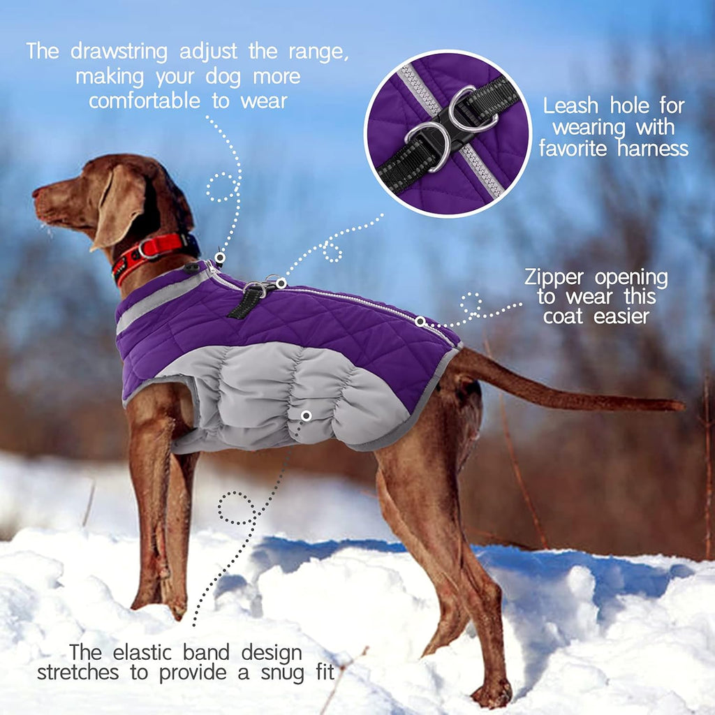 Giacca con imbracatura invernale SafeWalk | Giacca per cani impermeabile con riflessi e fodera in pile