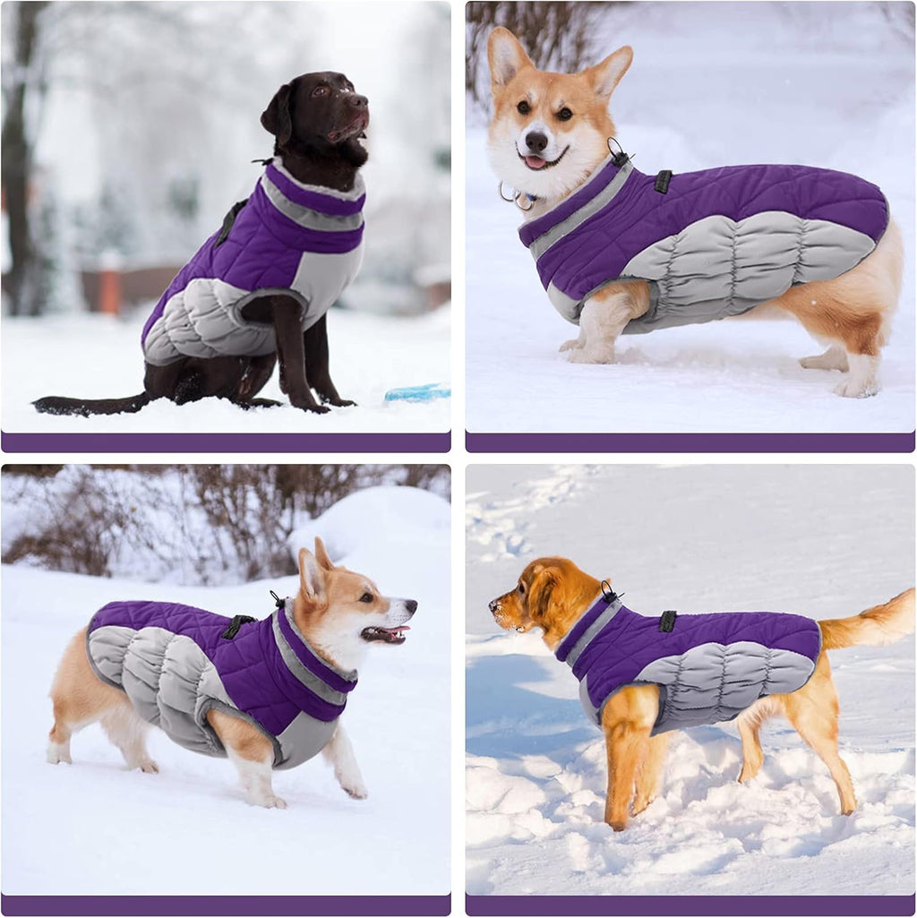 Giacca con imbracatura invernale SafeWalk | Giacca per cani impermeabile con riflessi e fodera in pile