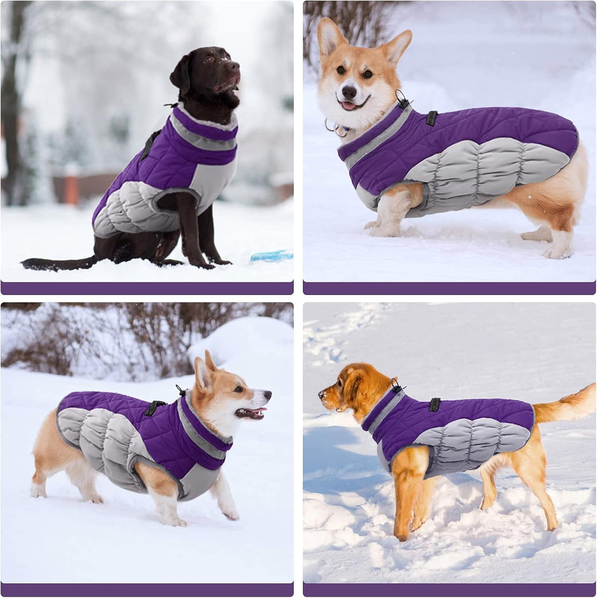 Giacca con imbracatura invernale SafeWalk | Giacca per cani impermeabile con riflessi e fodera in pile