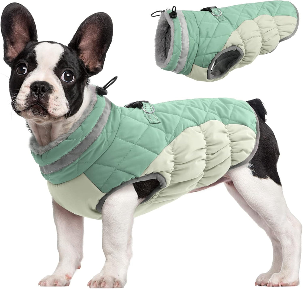 Giacca con imbracatura invernale SafeWalk | Giacca per cani impermeabile con riflessi e fodera in pile