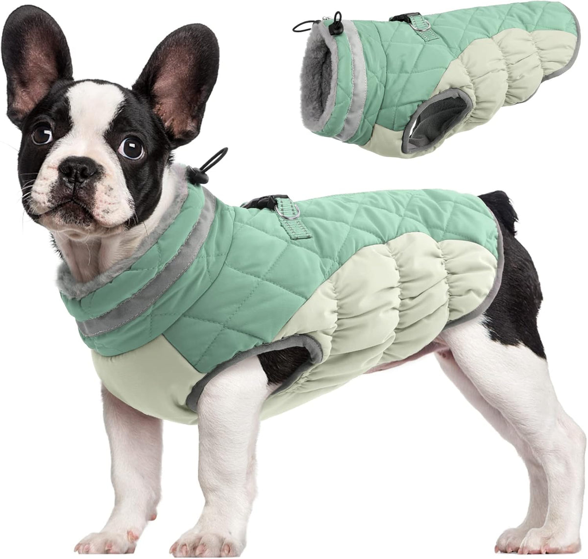 Giacca con imbracatura invernale SafeWalk | Giacca per cani impermeabile con riflessi e fodera in pile