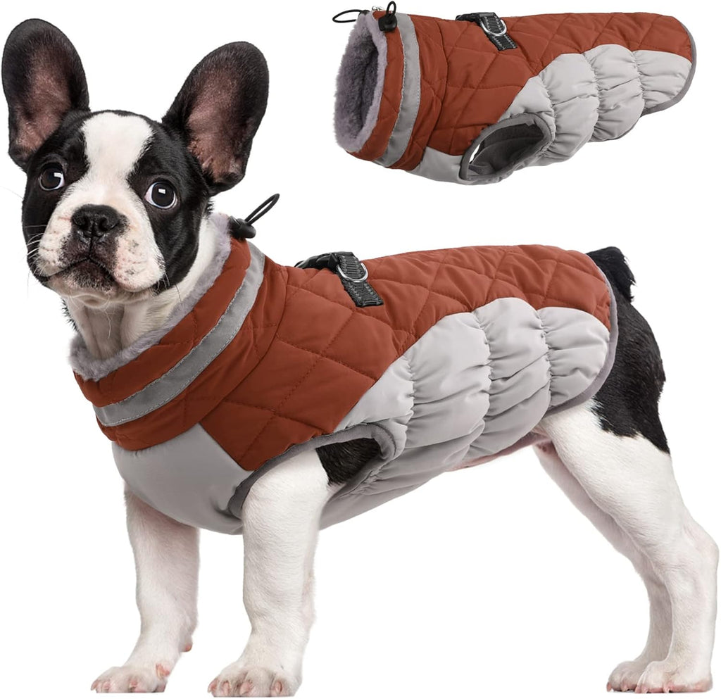 Giacca con imbracatura invernale SafeWalk | Giacca per cani impermeabile con riflessi e fodera in pile