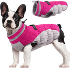 Giacca con imbracatura invernale SafeWalk | Giacca per cani impermeabile con riflessi e fodera in pile
