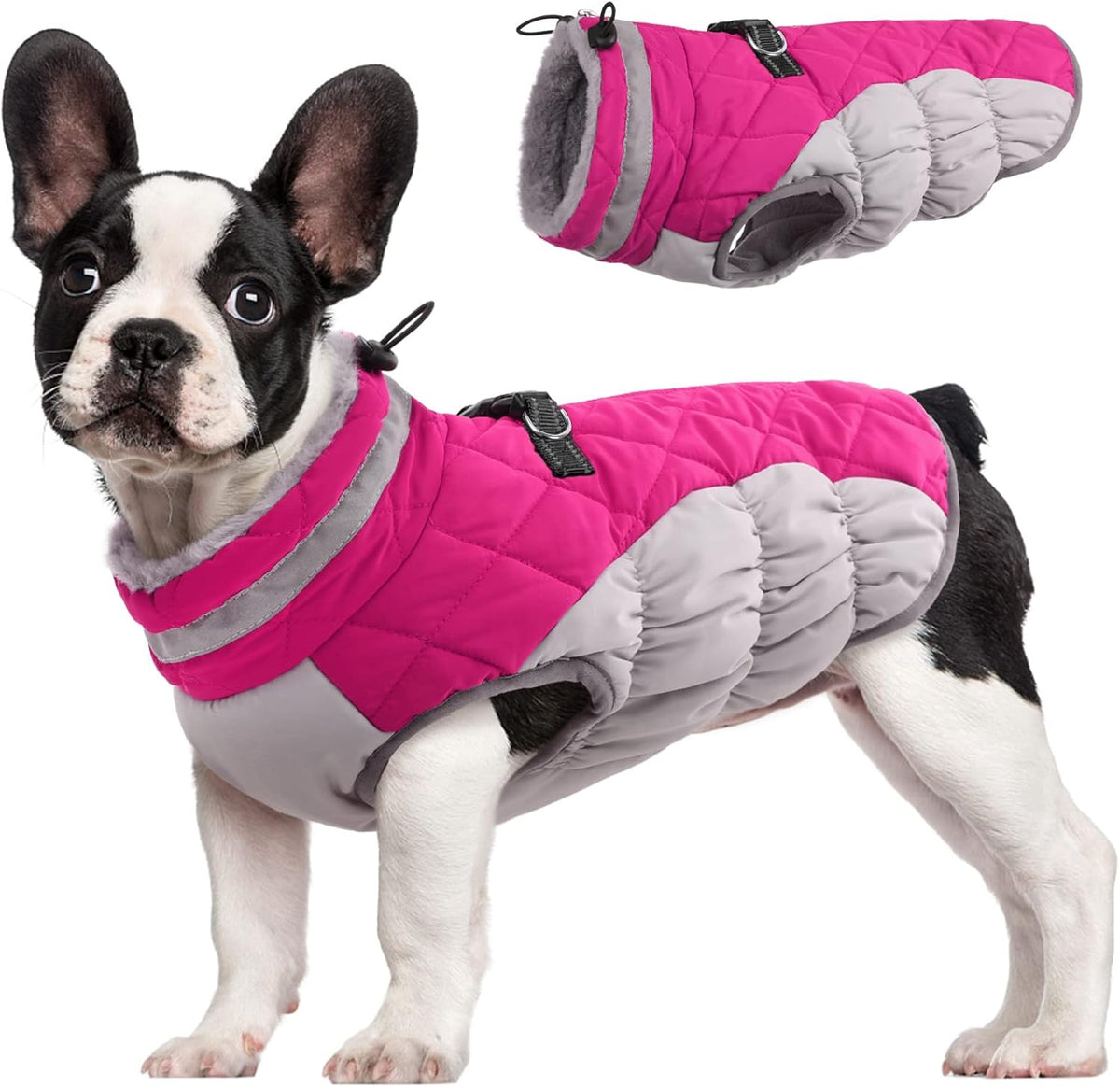 Giacca con imbracatura invernale SafeWalk | Giacca per cani impermeabile con riflessi e fodera in pile