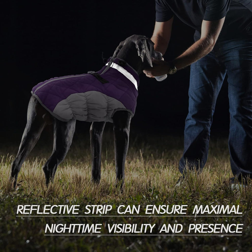 Giacca con imbracatura invernale SafeWalk | Giacca per cani impermeabile con riflessi e fodera in pile