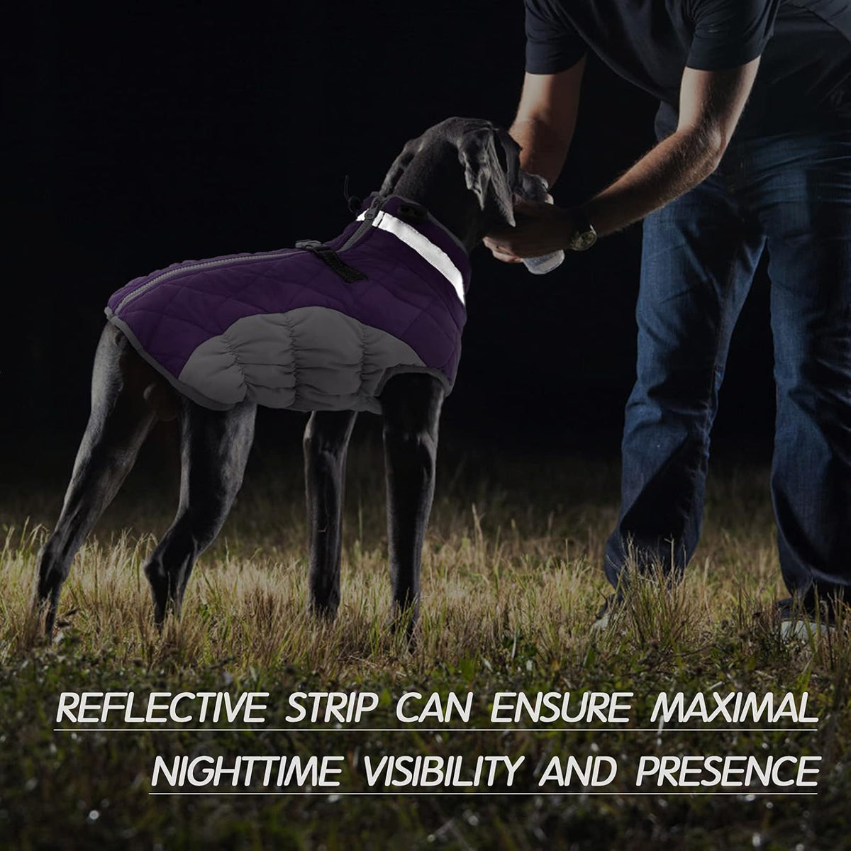 Giacca con imbracatura invernale SafeWalk | Giacca per cani impermeabile con riflessi e fodera in pile