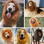 Costume di Halloween realistico con criniera di leone per cane | Leggero e regolabile