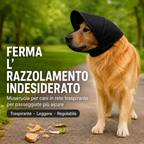 Museruola per cani traspirante anti-scavenging per le passeggiate - Cappuccio in rete che aiuta a bloccare avanzi di cib