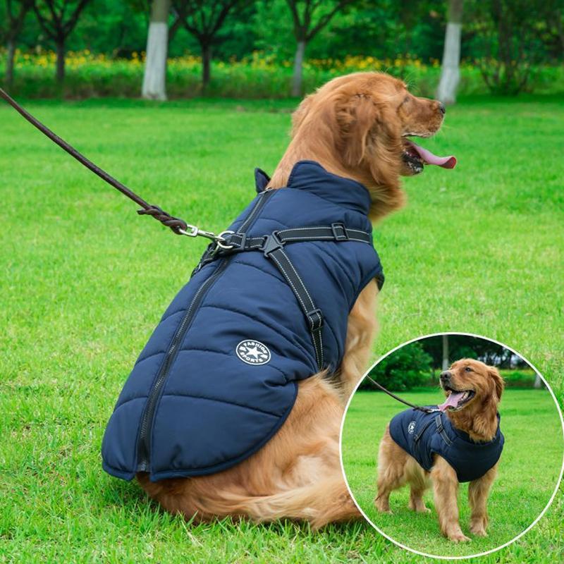 Cappotto invernale con cerniera per cani