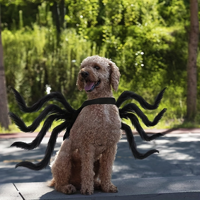 Divertente costume di Halloween per cane peloso | Progettazione del ragno