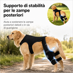 RearGuard Dog Rear Leg Support Brace - Fascia di supporto per zampe posteriori antiscivolo per cani anziani, pavimenti i